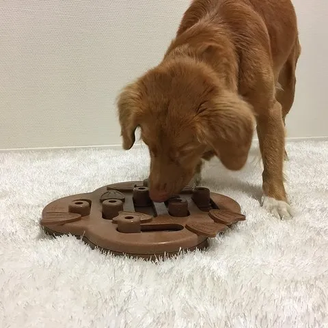 Dog Hide n' Slide Puzzle
