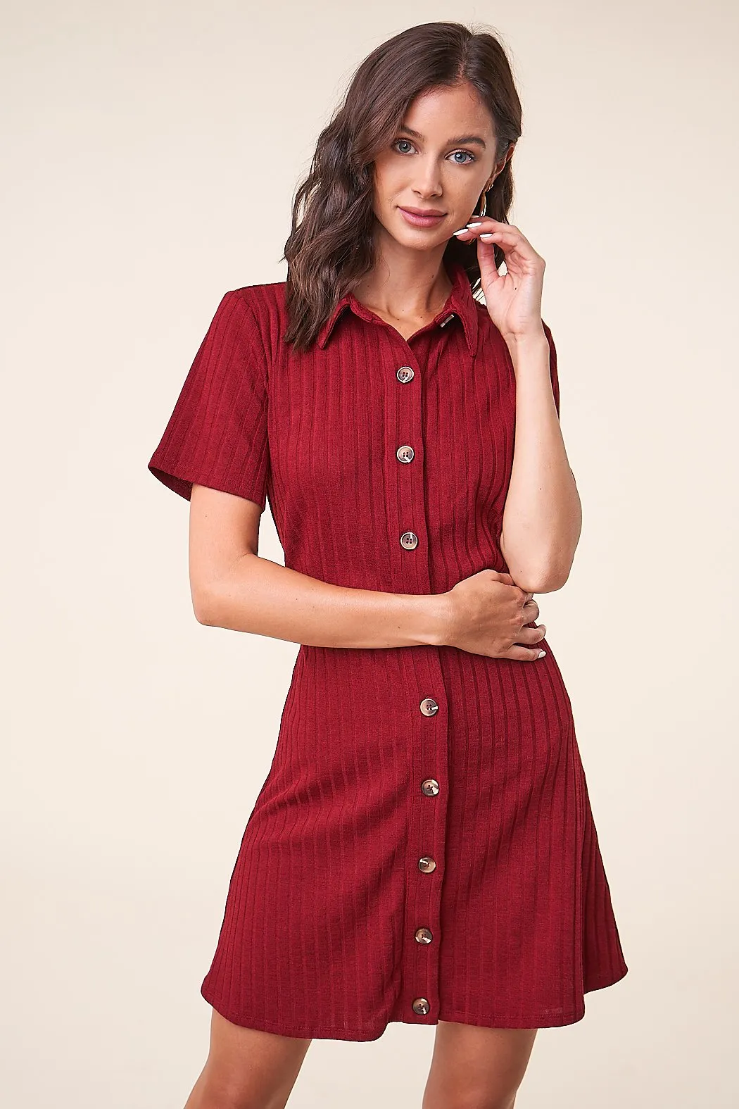 Oxford Button Up Mini Dress